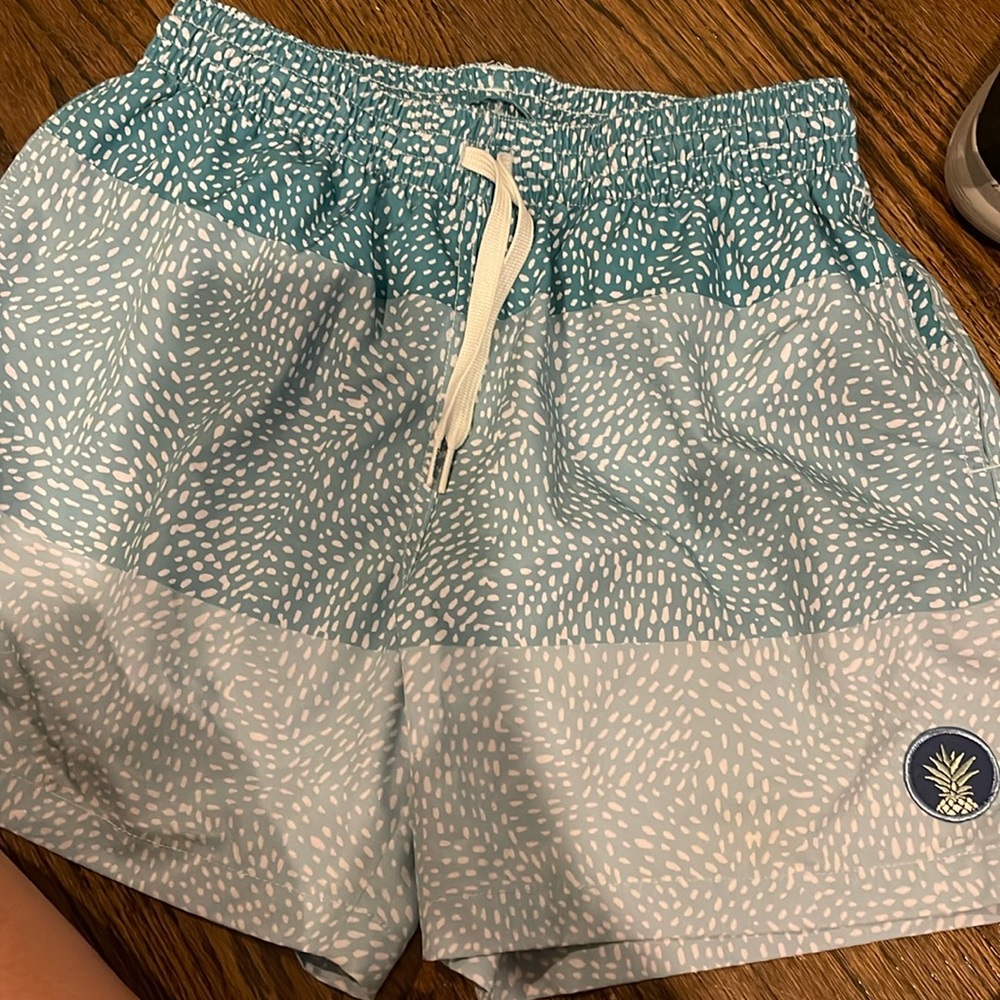 Men’s Chubbies swim trunks (all 3)